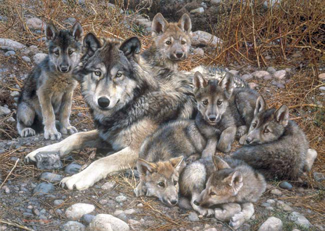 Reproductions of Carl Brenders Paintings Den Mother-Wolf Family Reproductions of Carl Brenders Paintings Den Mother-Wolf Family